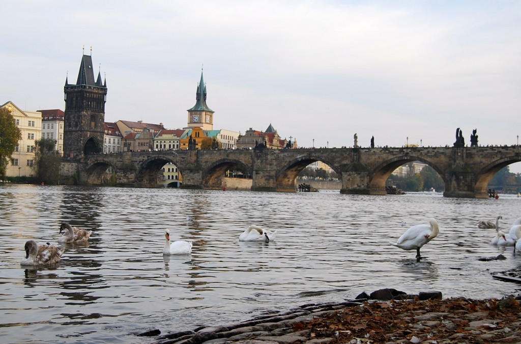 Charles Bridge