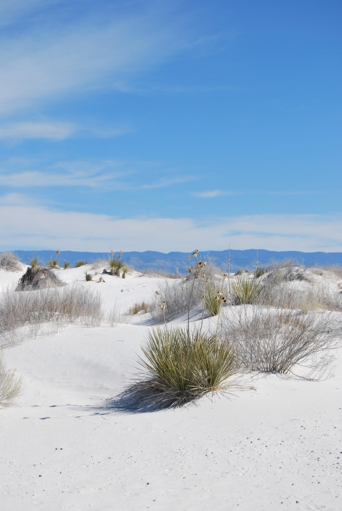 Sand Dunes New Mexico