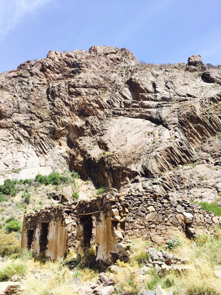 Organ Mountains